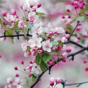 Meet your Posher, Lou